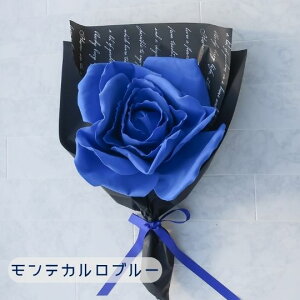 1ւő݊ rbO[Yu[P (3J[jo ԑ l  Ǝ  OB ltHg v[g a t[Mtg o j LO  rbO[Y u