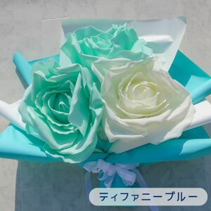  rbO[Yu[P (3J[jԑ l Ǝ  OB ltHg v[g a t[Mtg o j LO  rbO[Y u[P 