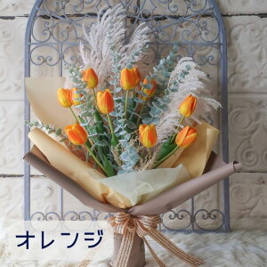 `[bv̉ԑ (4J[j`[bv ԑ v[g 蕨 a t[Mtg Mtg j \ Ǝ   ̓t[Mtg ̓Mtg ̓ hV