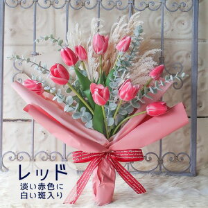 `[bv̉ԑ (4J[j`[bv ԑ v[g 蕨 a t[Mtg Mtg j \ Ǝ   ̓t[Mtg ̓Mtg ̓ hV