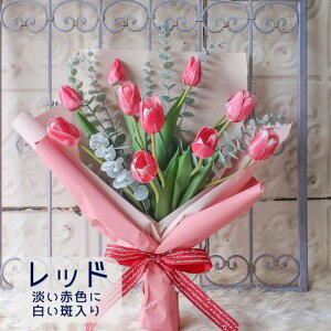 `[bv̉ԑ (4J[j`[bv ԑ v[g 蕨 a t[Mtg Mtg j \ Ǝ   ̓t[Mtg ̓Mtg ̓ hV