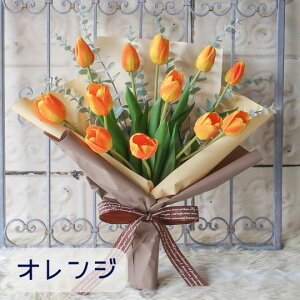 `[bv̉ԑ (4J[j`[bv ԑ v[g 蕨 a t[Mtg Mtg j \ Ǝ   ̓t[Mtg ̓Mtg ̓ hV