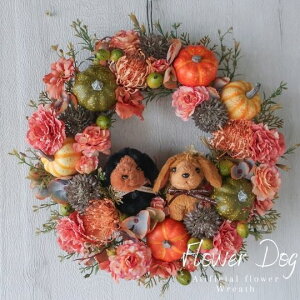 킢 _bNXth  nEB[X nEB[[X pvL[X I[^[X ڂ pvL Ǐ ǖʑ nEB[ nEB [X JXj 