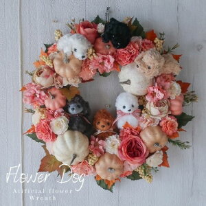 킢v[h nEB[X nEB[[X pvL[X I[^[X ڂ pvL Ǐ ǖʑ nEB[ nEB [X JXj v[