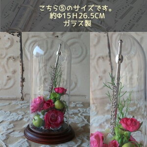 t[g̃KXh[ t[AWg iS[h Vo[j  a av[g A[eBtBVt[ 䋟 䋟   j LO 