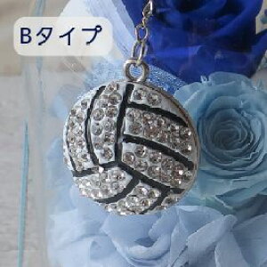 vU[uht[ KXh[AWg o[{[̃`[t i6J[j o[{[ o[ t[Mtg av[g  j ̓ ̓ hV̓