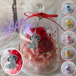 ̓ vU[uht[ KXh[AWg V[Y `[t i6J[jt[AWg t[Mtg a av[g  j ̓ hV̓