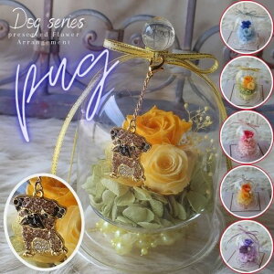 ̓ vU[uht[ KXh[AWg pO `[t i6J[jt[AWg t[Mtg a av[g  j ̓ hV̓ 