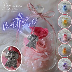 ̓ vU[uht[ KXh[AWg }`[Y `[t i6J[jt[AWg t[Mtg a av[g  j ̓ hV