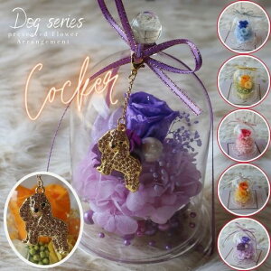 ̓ vU[uht[ KXh[AWg RbJ[ `[t i6J[jt[AWg t[Mtg a av[g  j ̓ hV