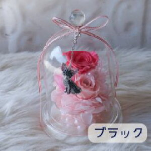 ̓ vU[uht[ KXh[AWg ``[t i6J[j` ubN^ t[AWg t[Mtg a av[g  