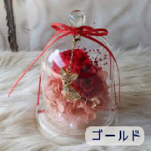 ̓ vU[uht[ KXh[AWg ``[t i6J[j` ubN^ t[AWg t[Mtg a av[g  