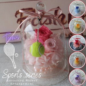 vU[uht[ KXh[AWg ejX{[̃`[t i6J[jejX t[AWg t[Mtg a av[g  j ̓ 