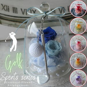 vU[uht[ StNuƃSt{[̃`[ti6J[jStRy St KXh[AWg j  St{[ StNu v[g 蕨