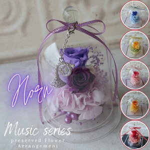 vU[uht[ z̃`[ti6J[jz Ǌy y KXh[AWg j  a av[g v[g 蕨 t[Mtg җj