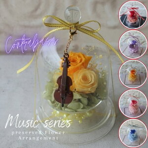 vU[uht[ RgoX̃`[ti6J[jRgoX y y KXh[AWg j  a av[g v[g 蕨 t[M