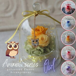 hV̓ tNE ̃`[t vU[uht[ KXh[AWg (6J[jt[AWg t[Mtg a av[g j ̓ җj