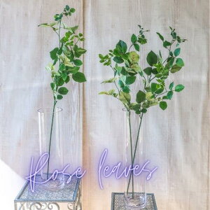 [Y[t o̗t   A[eBtBVt[ A[gt[ VNt[ tFCNt[ tFCNO[ CeAt[ Xܑ