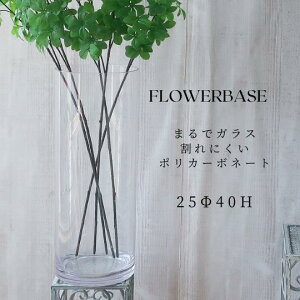 |J[{l[g t[x[X 40cm V_[ |J[{l[g Ԃт ԕr Ԋ ֑}