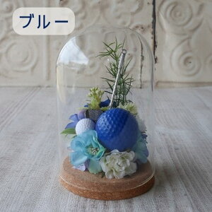 StRy St KXh[AWg j  St{[ StNu v[g 蕨 a t[Mtg җj j ԈȊO Ǝ  ̓ ̓ 