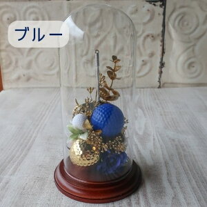 StRy St KXh[AWg j  St{[ StNu v[g 蕨 a t[Mtg җj j ԈȊO Ǝ  ̓ ̓ 