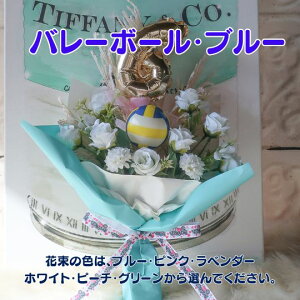   ԑ X|[c{[ԑ X|[c o[{[ 싅{[ \tg{[ AJtbg{[ TbJ[{[ ejX{[v[g 蕨 a t[Mtg 