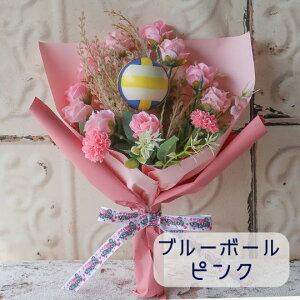   ԑ o[{[ԑ X|[c o[{[ v[g 蕨 a t[Mtg Mtg j Ǝ   hV̓  LOi