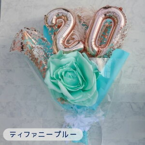 u j \ j 傫 o[u[P 3J[vl ԑ \΂̏W 20 o[ԑ v[g Mtg lu[P lԑ lj 蕨 j 2026N 