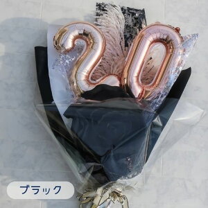 u j \ j 傫 o[u[P 3J[vl ԑ \΂̏W 20 o[ԑ v[g Mtg lu[P lԑ lj 蕨 j 2026N 