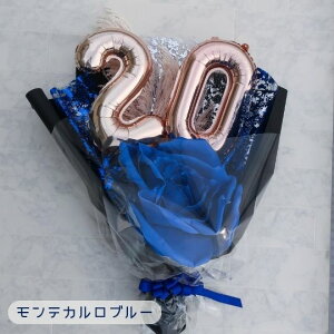 u j \ j 傫 o[u[P 3J[vl ԑ \΂̏W 20 o[ԑ v[g Mtg lu[P lԑ lj 蕨 j 2026N 