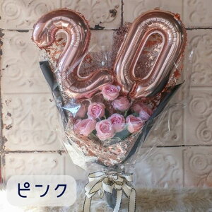 u j \ j 傫 o[u[P 5J[vl ԑ \΂̏W 20 o[ԑ v[g Mtg lu[P lԑ lj 蕨 j 2026N 