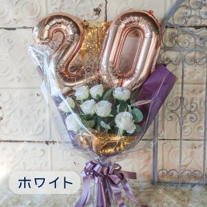 u j \ j 傫 o[u[P 5J[vl ԑ \΂̏W 20 o[ԑ v[g Mtg lu[P lԑ lj 蕨 j 2026N 