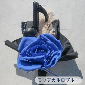 u\̑蕨Ɂv݊rbO[YƉ o[u[Pi 3J[j o[ԑ v[g o[Mtg 蕨 t[Mtg ԑ y \v[g \