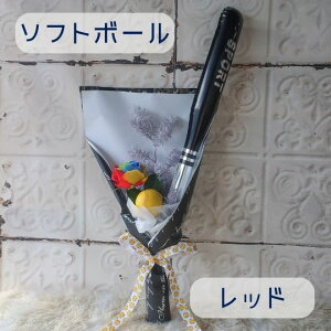 Ǝ c ԑ 싅obg to[u[P i싅{[ \tg{[jo[  3N𑗂 6N𑗂 X|[c u[P o[ o[ 싅 v