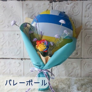 ucEEƁEʁvX|[c{[̃o[u[P 싅 ejX o[{[ o[ ԑ o[u[P o[ o[ X|[c v[g 蕨 a t