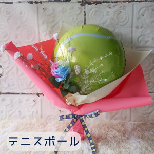 ucEEƁEʁvX|[c{[̃o[u[P 싅 ejX o[{[ o[ ԑ o[u[P o[ o[ X|[c v[g 蕨 a t