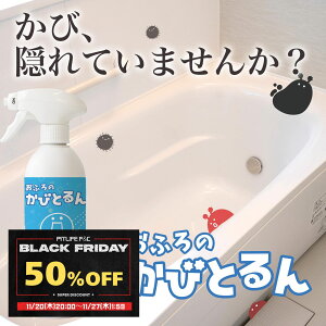 _P10{{10OFFN[|^ĈтƂ C Jr ԃJr Jr   500mlbLa Kira ^C  SpbL jbgoX |pXv[ Ɩpɂ Jr JrXv