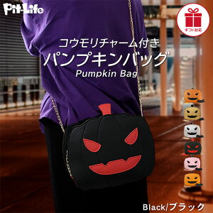 _P10{{10OFFN[|^obO ڂ pvL `F[ V_[ REt 6F | RXv  J{` 킢 nEB[ ߑ p[eB[ Cxg o ΂