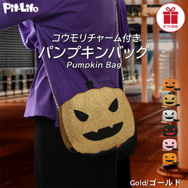 ＼P10倍＋10％OFFクーポン／バッグ かぼちゃ パンプキン チェーン ショルダー コウモリ付き 6色 | コスプレ 仮装 カボチャ かわいい ハロウィーン仮装 衣装 パーティー イベント お出かけ 斜め掛けバッグ 肩掛け かばん 鞄 ポシェット ポーチ レディースバッグ Halloween テ