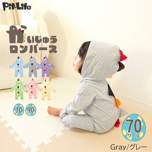 _P10{{10OFFN[|^yMtgbsOΉz[c킸I݌Ɍnxr[ p[X q  t[ht  b xr[ Jo[I[ 70 80 90 OJ t H ~ Ԃ 