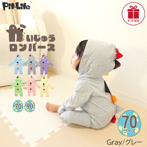 _P10{{10OFFN[|^yMtgbsOΉz[c킸I݌Ɍnxr[ p[X q  t[ht  b xr[ Jo[I[ 70 80 90 OJ t H ~ Ԃ 