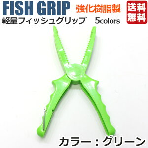 _X[p[SALEIP10{^y1000~|bL ztBbVObv tBbVLb`[ 5F |  tBbVO vC[ {KObv ΂ oT~ ͂ 