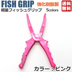 _X[p[SALEIP10{^y1000~|bL ztBbVObv tBbVLb`[ 5F |  tBbVO vC[ {KObv ΂ oT~ ͂ 