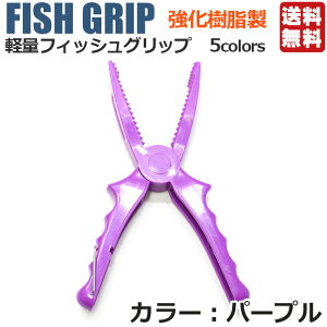 _P10{{10OFFN[|^y1000~|bL ztBbVObv tBbVLb`[ 5F |  tBbVO vC[ {KObv ΂ oT~ ͂ 