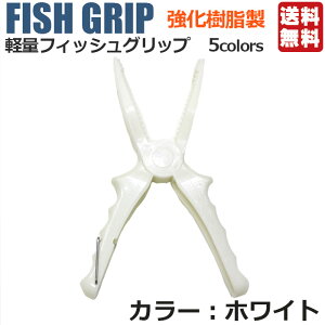 y1000~|bL ztBbVObv tBbVLb`[ 5F |  tBbVO vC[ {KObv ΂ oT~ ͂    ͂ 