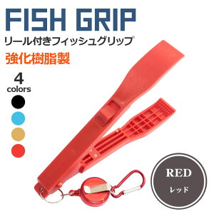 y1000~|bL ztBbVO vC[ tBbVObv  [t bN@\ 4F | Jri {KObv tBbVLb`[ ΂ oT~ ͂ 