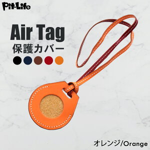 _P10{{z^Apple AirTag GA^O P[X {v یP[X GA[^O P[X 5F air tag Xgbvt z_[ U[ v یJo[ U[P[X [P[X h~ yA  yb