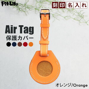 _XSiΏہI10%OFFN[|^Apple AirTag GA^O P[X {v یP[X GA[^O P[X 5F   air tag vxg^Cv z_[ U[ v یJo[ U[P[X [P[
