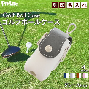 _X[p[SALEIP10{^yΉzSt{[P[X O 2[ PUU[ y RpNg Jrit eB[[t }OlbgJ xg Y fB[X Mtg