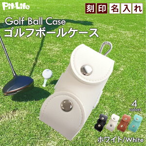 _X[p[SALE 10OFF^yΉzSt {[P[X O PUU[ 2[ eB[4{[ O[tH[Nt RpNg yʐ݌v xg  v[gp Mt